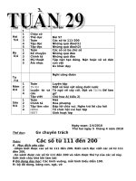 Giao an lơp 2 CKTKN Tuan 29