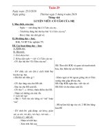 Giao an T29- L4 - Buoi chieu