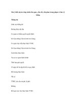 Xin ý kiến dự án công trình cầu quay, cầu cất, cầu phao trong phạm vi bảo vệ luồng potx