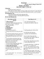 GA lop 3 tuan 22 (Uong Dong Anh)