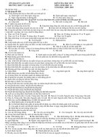 de kt hk 2-cuc hay-co dap an