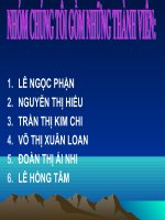 Tiểu luận nghiên cứu sản phẩm pdf