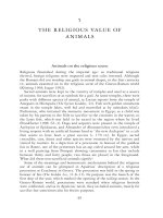 Animals, Gods and Humans - Chapter 5 potx