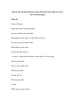 Đăng ký thay đổi nội dung đăng ký kinh doanh theo Quyết định của Tòa án đối với Doanh nghiệp pptx
