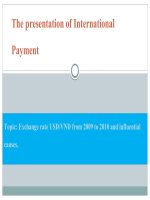 Exchange rate USD/VND 2009-2010 (tỷ giá hối đoái) docx