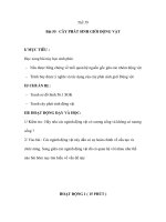 Sinh học 7 - Bài 55 : CÂY PHÁT SINH GIỚI ĐỘNG VẬT doc