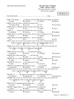 Khảo sát CL anh 9