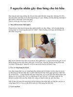 5 nguyên nhân gây đau lưng cho bà bầu docx
