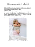 Giai đoạn mang bầu 21 tuần tuổi ppsx