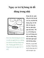 Nguy cơ trẻ bị bỏng từ đồ dùng trong nhà pdf