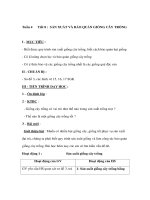 Giáo án Công nghệ lớp 7 - SẢN XUẤT VÀ BẢO QUẢN GIỐNG CÂY TRỒNG pot