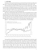 Tiểu luận tài chính quốc tế thặng dư của trung quốc