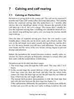 Dairy cattle husbandry - Part 4 pps