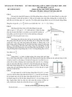 Đề thi HSG lớp 11- 2010 tỉnh Vĩnh Phúc