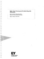 báo cáo tài chính đã kiểm toán năm 2013 ngân hàng xăng dầu petrolimex pg bank