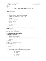 Bài 36 Sinh học 11 Căn bản