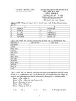 Đề HSG tin 10-2010.đapan.Hạnhns