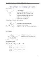 Bài tập nâng cao Hình học 6 tập II