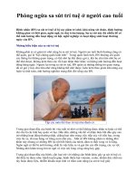Phòng ngừa sa sút trí tuệ ở người cao tuổi pdf