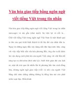 Văn hóa giao tiếp bằng ngôn ngữ viết tiếng Việt trong tin nhắn pot