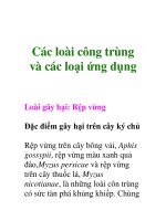 Các loài công trùng và các loại ứng dụng ppt