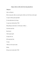 Đăng ký thẩm tra điều chỉnh Giấy chứng nhận đầu tư doc