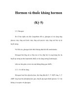 Hormon và thuốc kháng hormon (Kỳ 5) pot