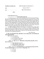 KTDK GKII TIENG VIET 2009-2010