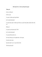 Phê duyệt hồ sơ và thủ tục hiệp thương giá docx