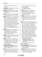 NTC''''s Pocket Dictionary of Words and Phrases part 26 ppsx