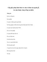 Cấp giấy phép khai thác tre nứa và lâm sản ngoài gỗ, tre nứa thuộc rừng trồng tự nhiên potx