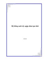 Hệ thống nuôi cấy ngập chìm tạm thời pptx