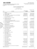 ngân hàng thương mại cổ phần sài gòn hà nội shb bảng cân đối kế toán quý 1 năm 2010 tại ngày 31 tháng 3 năm 2010