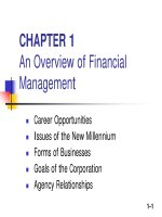 Slide Financial Management - Chapter 1 pps