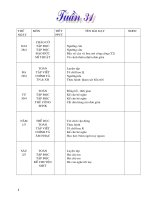 Giáo án lớp 1 tuần 31 (CKTKN)