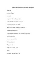 Cấp giấy phép tạm thời sử dụng vĩa hè, lòng đường. pdf