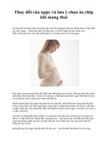 Thay đổi của ngực và lưu ý chọn áo chip khi mang thai docx