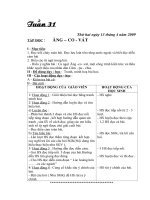 Giáo án Tuần 31-L4