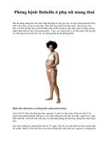 Phòng bệnh Rubella ở phụ nữ mang thai docx