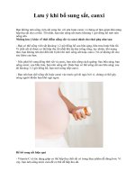 Lưu ý khi bổ sung sắt, canxi doc