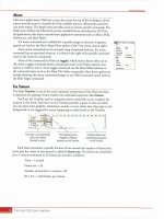 Adobe Flash CS3: The Professional Portfolio- P4 doc