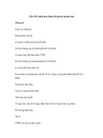 Cấp Giấy phép hoạt động bến khách ngang sông pptx