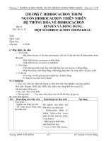 Giáo án hóa học 11CB Chương 7