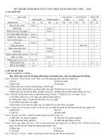 đề thi HK2 09-10 tham khảo Văn 9