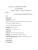 Địa lý lớp 6 - CHƯƠNG II: CÁC THÀNH PHẦN TỰ NHIÊN CỦA MÔI TRƯỜNG. potx