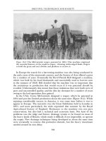 An Encyclopedia of the History of Technology part 81 docx