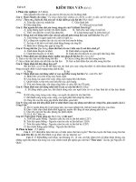 de ktra van tiet 113 (de le)