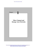 fibre channel for sans