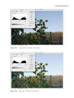 101 QUICK AND EASY SECRETS FOR USING YOUR DIGITAL PHOTOGRAPHS- P34 potx