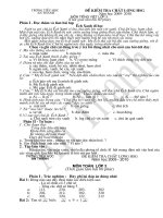 DE KTHSG MON TOAN + TIENG VIET LOP 3